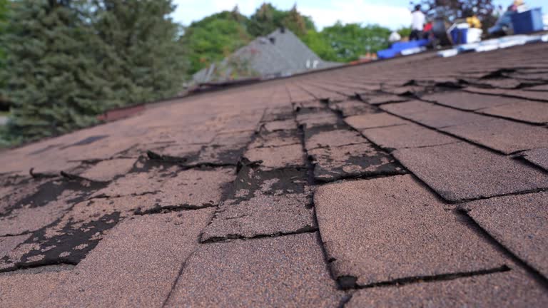 Best Commercial Roofing Services  in Joshua Tree, CA